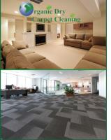 Organic Dry Carpet Cleaning - Arlington image 3